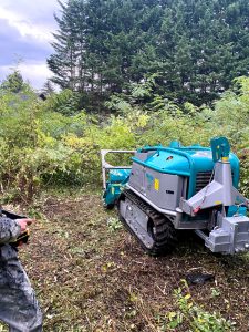 Chantier de broyage et nettoyage de parcelles